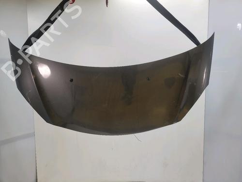 hood-citroen-c3-ii-sc_-2009-38742294 main image