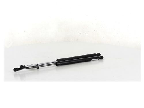 Tailgate lift support RENAULT CLIO III (BR0/1, CR0/1) 1.5 dCi | BP27909573C138 
