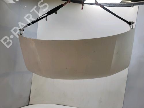 Used Hood Hood 38479752 38479752