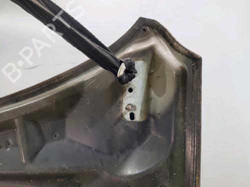 Hood FORD KUGA I 2.0 TDCi | BP24327595C1 
