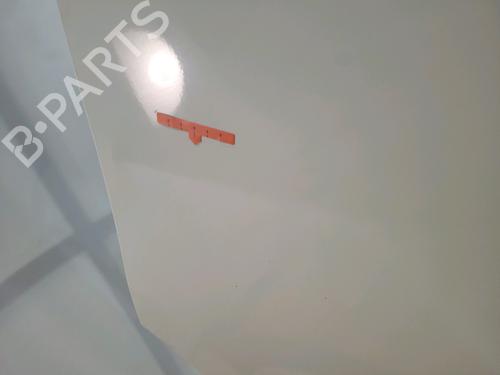 Left front door RENAULT TRAFIC III Van (FG_) 1.6 dCi 120 (FGMK) | BP29932186C2