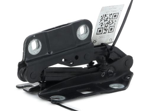 Hinge/Door check strap MERCEDES-BENZ M-CLASS (W164) ML 280 CDI 4-matic (164.120) | BP27906367C146 