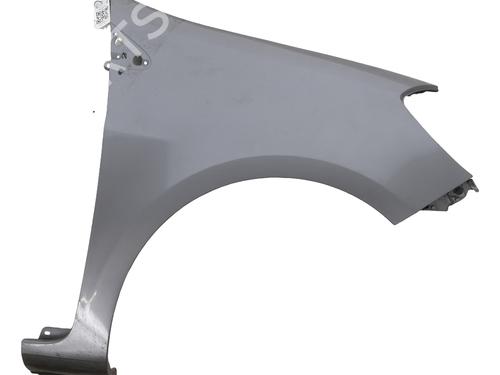 Used Right front fenders RENAULT CLIO III (BR0/1, CR0/1) 1.5 dCi (C/BR0G, C/BR1G) (68 hp) 29198251