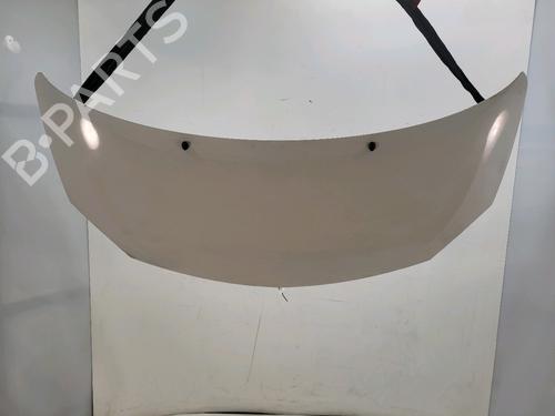 Used Hood Hood RENAULT TWINGO II (CN0_) 1.2 16V (CN04, CN0B) (75 hp) 33309828 33309828