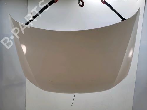 Used Hood VW POLO V (6R1, 6C1) 1.6 TDI (90 hp) 31304468