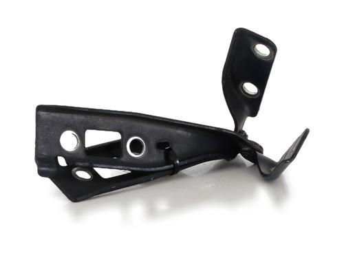 Hinge/Door check strap FORD FIESTA V (JH_, JD_) ST150 | BP27910707C146 