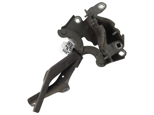 Used Hinge/Door check strap RENAULT LAGUNA III Grandtour (KT0/1) [2007-2015]  27911529
