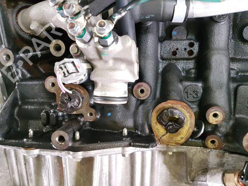 Engine RENAULT MEGANE IV Hatchback (B9A/M/N_) 1.5 Blue dCi 115 (B9A6) | BP38432166M1 - Image 13