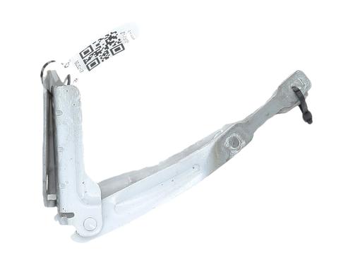 hingedoor-check-strap-dacia-lodgy-js_-2012-36795329 main image