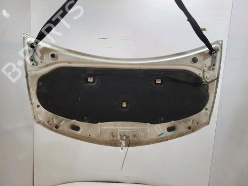 Hood RENAULT CLIO III (BR0/1, CR0/1)  | BP25797314C1 