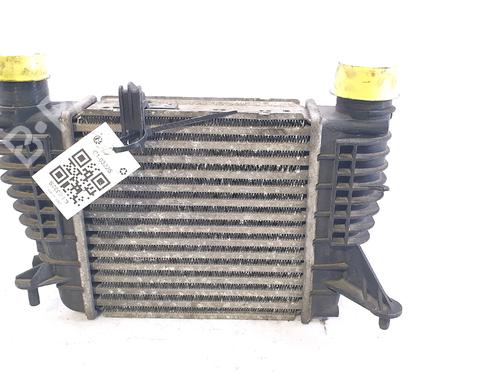 Intercooler RENAULT CLIO III (BR0/1, CR0/1) 1.2 16V (BR0P, CR0P) | BP29522186M30 