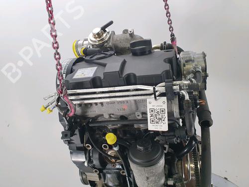 Engine SEAT CORDOBA (6L2) 1.4 TDI | BP34204991M1  - Image 5