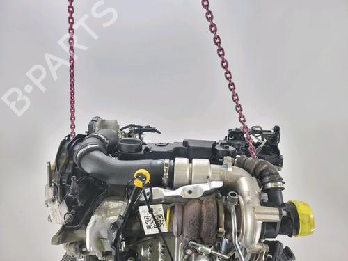 Motor FORD FIESTA VI (CB1, CCN) 1.4 TDCi | BP29552582M1 