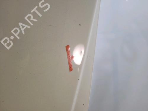 Hood FIAT FREEMONT (345_) 2.0 JTD | BP32225821C1