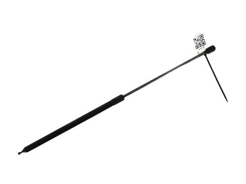 Used Hood lift support RENAULT MEGANE III Hatchback (BZ0/1_, B3_) 1.5 dCi (BZ09, BZ0D, BZ1W, BZ29, BZ14) (110 hp) 27904166