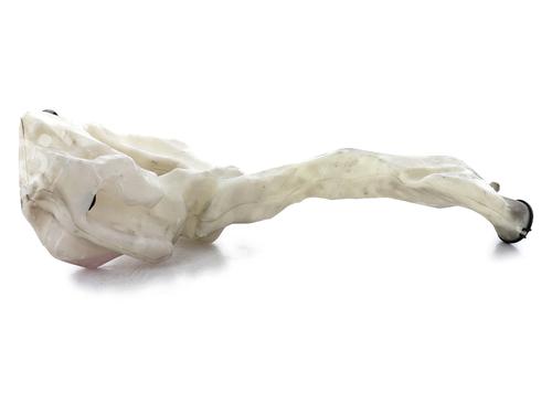 windscreen-washer-tank-mini-mini-roadster-r59-2011-2012-2013-2014-2015-32180605 main image