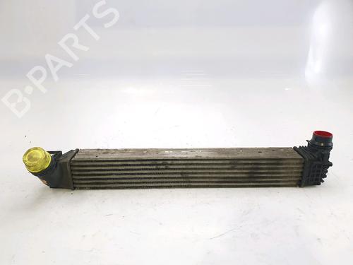 Used Intercooler RENAULT MEGANE III Grandtour (KZ0/1) 1.5 dCi (KZ09, KZ0D, KZ1G, KZ29, KZ14, KZ1W, KZ10, KZ1F,... (110 hp) 28972042