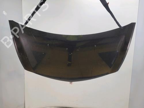 Capot RENAULT CLIO III (BR0/1, CR0/1) 1.5 dCi (C/BR0G, C/BR1G) (68 hp) 31876096