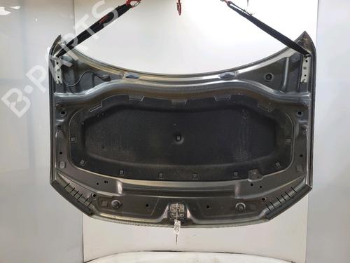 Hood VW TIGUAN (AD1, AX1) 2.0 TDI 4motion | BP30190694C1