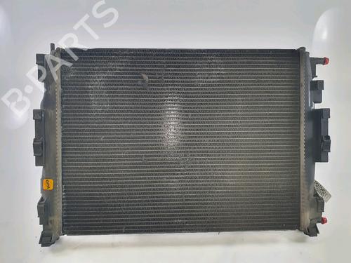 Køler RENAULT MEGANE II (BM0/1_, CM0/1_) 1.9 dCi (BM0G, CM0G) (120 hp) 24994411