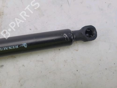 Hood lift support DACIA SANDERO II TCe 90 (B8M1, B8MA, B8AC) | BP27916990C139