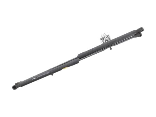 tailgate-lift-support-ds-ds-3-ds-3-crossback-ur_-uc_-uj_-2018-36212223 main image
