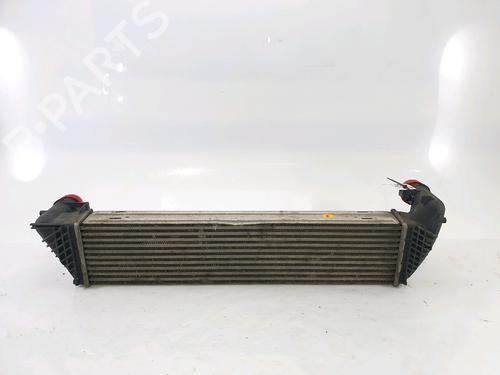 Intercooler RENAULT ESPACE IV (JK0/1_) 2.0 dCi (JK01, JK02, JK1J, JK1K, JK1H) | BP25452538M30 - Image 2
