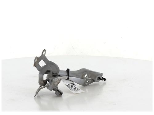 Hinge/Door check strap PEUGEOT 107 (PM_, PN_) 1.4 HDi | BP27907287C146 