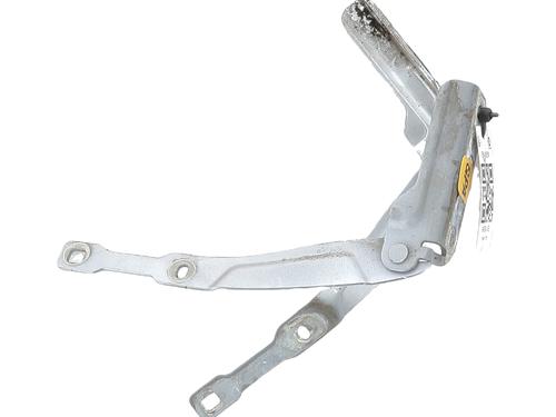 Used Hinge/Door check strap DACIA SANDERO II 1.5 dCi (90 hp) 31086035