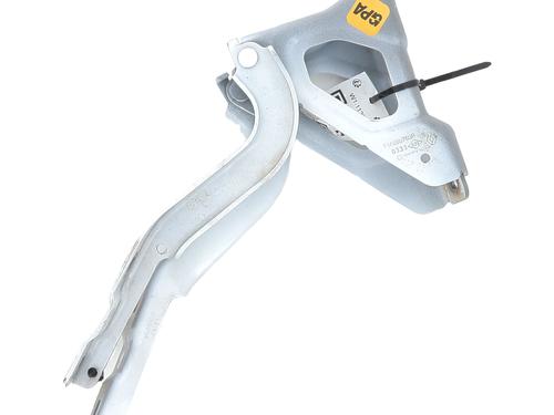 Bisagra/Limitador de puerta RENAULT CLIO V (B7_) 1.0 TCe 90 (B7MT) (91 hp) 31141904