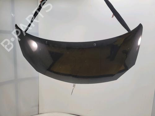 Used Hood RENAULT TWINGO II (CN0_) 1.2 16V (CN04, CN0B) (75 hp) 28971581
