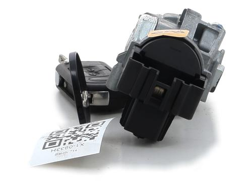 Ignition barrel LAND ROVER RANGE ROVER SPORT I (L320) 3.6 D 4x4 | BP23525863M48 