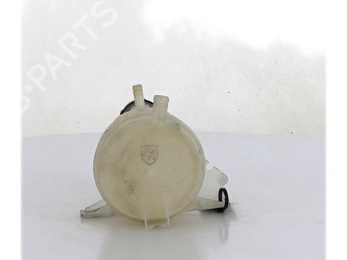 Expansion tank RENAULT SCÉNIC I MPV (JA0/1_, FA0_) 1.9 dCi (JA05, JA1F) | BP30049247C120 