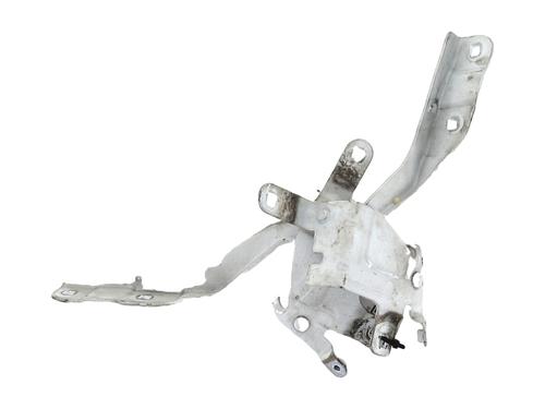 Used Hinge/Door check strap RENAULT CLIO IV (BH_) 1.5 dCi 75 (75 hp) 31699602