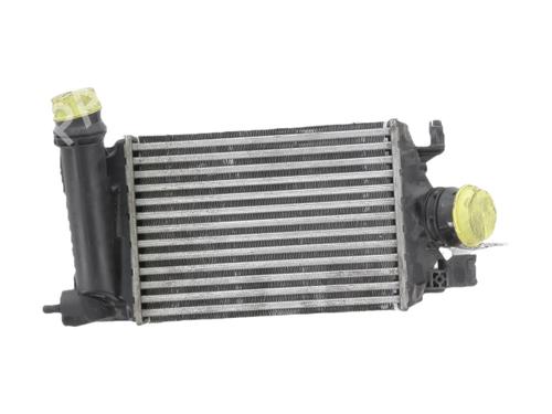 Used Intercooler Intercooler DACIA SANDERO III 1.0 TCe 90 (91 hp) 40520910 40520910