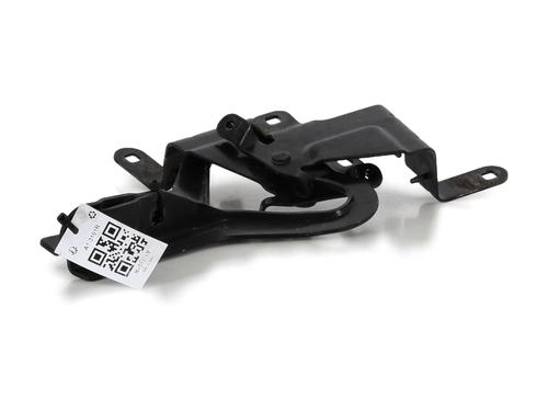 Hinge/Door check strap RENAULT CLIO IV (BH_) 1.5 dCi 90 | BP27914878C146 