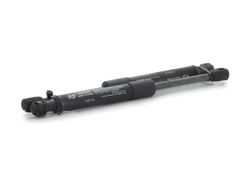 Hood lift support HYUNDAI SANTA FÉ III (DM, DMA) 2.2 CRDi 4WD | BP29849234C139 