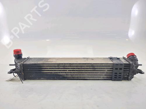 Used Intercooler RENAULT LATITUDE (L70_) 2.0 dCi 150 (L70H) (150 hp) 23556531