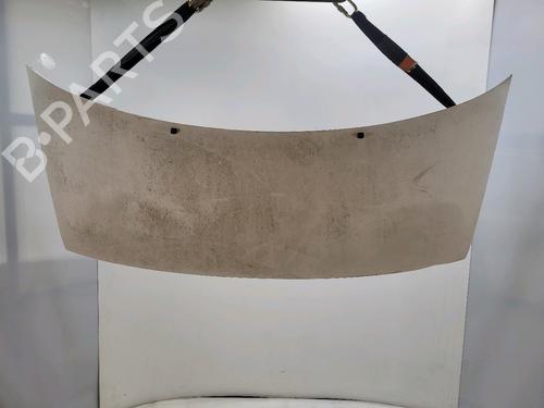 Used Hood FIAT SCUDO Van (220_) 1.9 D (69 hp) 30190794