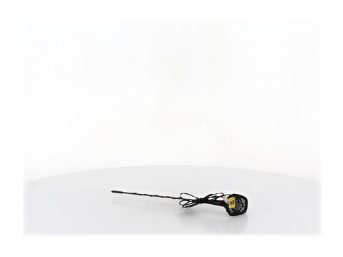 Antenne/Base Antenne/Base RENAULT CLIO III (BR0/1, CR0/1) 1.2 16V (BR02, BR0J, BR11, CR02, CR0J, CR11) (75 hp) 36853682 36853682