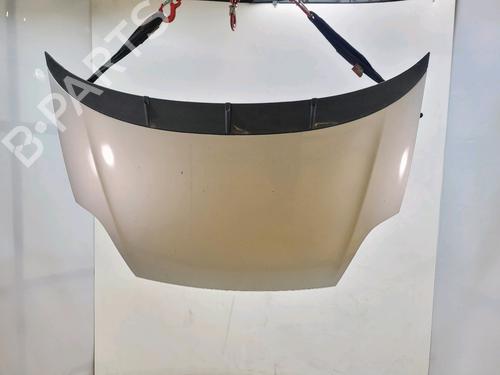 hood-fiat-punto-evo-199_-2008-34147453 main image