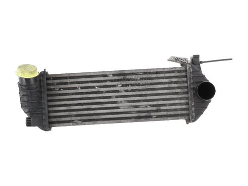 Used Intercooler RENAULT KANGOO Express (FW0/1_) 1.5 dCi 85 (FW0K, FW0L, FW0B) (86 hp) 31057456