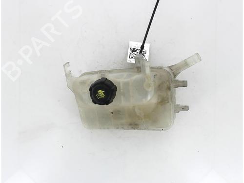 Expansion tank RENAULT MEGANE III Grandtour (KZ0/1) 1.5 dCi (KZ09, KZ0D, KZ1G, KZ29, KZ14, KZ1W, KZ10, KZ1F,... | BP17380162C120