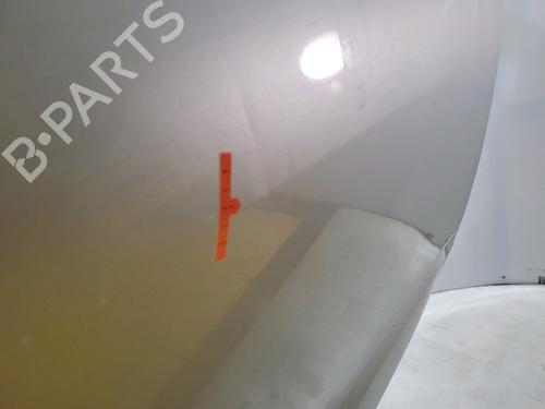 Right front door RENAULT SCÉNIC III (JZ0/1_) 1.5 dCi | BP29820011C3 