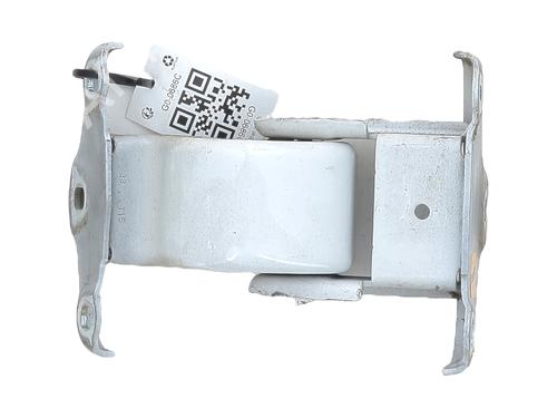 Hinge/Door check strap RENAULT TRAFIC III Van (FG_) 1.6 dCi 90 (FGME) | BP27909719C146 