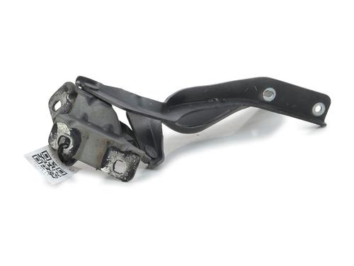 Hinge/Door check strap NISSAN QASHQAI I (J10, NJ10) 1.5 dCi | BP29111760C146 