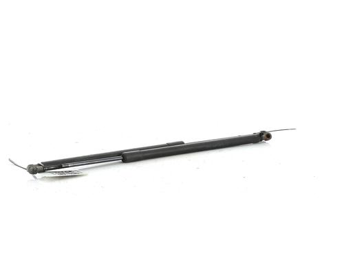 Tailgate lift support BMW X5 (E53) 3.0 d | BP27901935C138 
