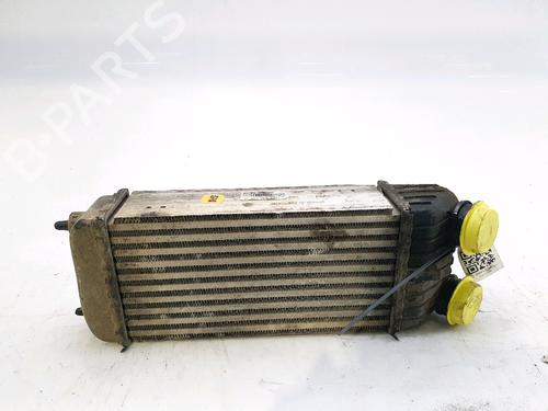Intercooler CITROËN C3 II (SC_) 1.6 HDi 90 (90 hp) 28971353