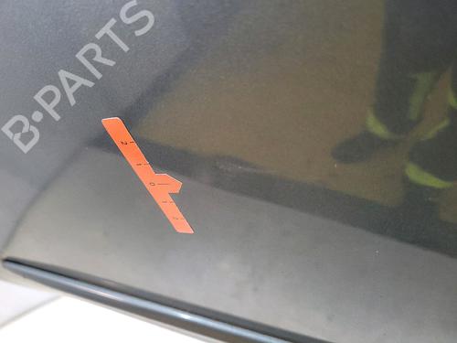 Left front door NISSAN MICRA IV (K13K, K13KK) 1.2 | BP32401551C2 