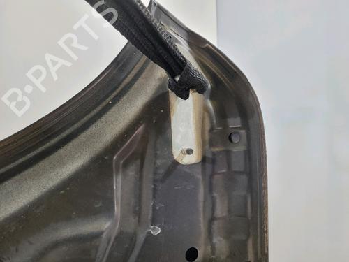 Hood NISSAN JUKE (F15) 1.5 dCi | BP29416861C1 